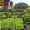 Food, Sustainability, & Community in Pittsburgh