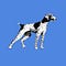 Go to the profile of Birdog