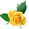 Go to the profile of Sherry Kappel