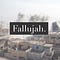 Fallujah Magazine