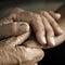 Go to the profile of floridaelderlycareorganiz
