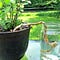 Go to the profile of GardenTips.Me