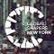 Global Shapers New York Hub