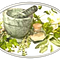 Go to the profile of Ayurvedic Herbal Product