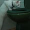 Go to the profile of Suogi S’tracco