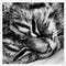 Go to the profile of Gemma Weirs