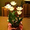 Go to the profile of Joan Dispenza