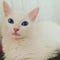 Go to the profile of Hasan Ali Yüksel