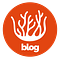 Corall Blog