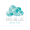 Go to the profile of Big Blue Digital
