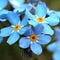 Go to the profile of Sophia Spring