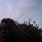 Go to the profile of Samilla