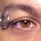 Go to the profile of Alfonso Guerra