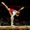 Artistic Gymnastics