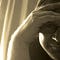 Go to the profile of juem | juergen messer
