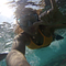 Go to the profile of puʻuwai