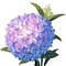 Go to the profile of Joanna Lew