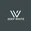 deepwhite.ai