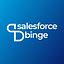 Salesforce Binge