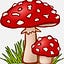 The Mushroom Post