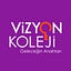 Vizyon College