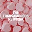 The Transamorous Network