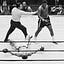 About Boxe