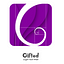 Gifted — CogAT Test Prep