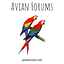 Avian Forums