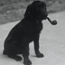 Go to the profile of Marci Buehler
