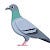 Go to the profile of PXP
