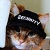 Go to the profile of SecurityKitty
