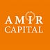 Go to the profile of Инвестиционный фонд Amir Capital