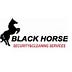 Go to the profile of Black Horse Security