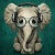 Go to the profile of Freyarising