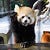Go to the profile of yichong