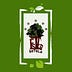 Go to the profile of Five Star Tree Services