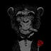Go to the profile of Eray Alakese