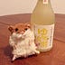 Go to the profile of Cookingwiththehamster