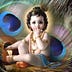 Go to the profile of Krishna B
