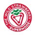 Go to the profile of The Wild Strawberry Supernodes