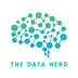 The Data Nerd