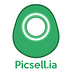 Picsellia