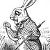 Go to the profile of Rabbit Rabbit