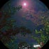 Go to the profile of Midnight_Mental