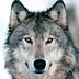 Go to the profile of Ulf Wolf