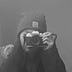Go to the profile of Phoebe Wang