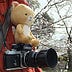 Go to the profile of 思考 (hkxforce)