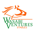 Go to the profile of Wasabi Ventures Stables