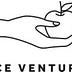 Vice Ventures